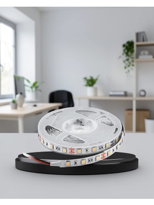 Timion LED Şerit Işık Otomatik Açma Kapama 2mt