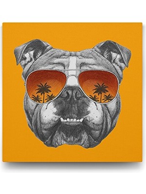 Ingiliz Bulldog Tablosu 60X60 cm