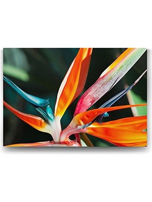 Kraliçe Çiçeği Tablosu, 140X100 cm