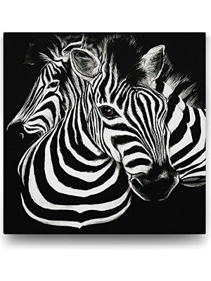 Siyah Beyaz Zebra Tablosu 60X60 cm