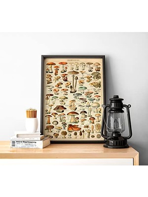 Pegziz PGZZNM103 Mantar Çeşitleri Vintage Sanatsal Poster 60X90 cm