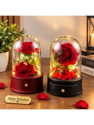 Keyfim Shop Işıklı Cam Fanus Içinde Yapay Kırmızı Gül ve Müzikli Dekoratif Romantik Hediye – Sevgililer Günü ve Özel Gün Hediyesi