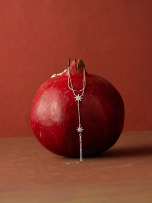 Silveria Jewels 925 Ayar Gümüş Rodyum Renkli Kutup Yıldızı Motifli Şahmeran – Zirkon Taşlı El Zinciri