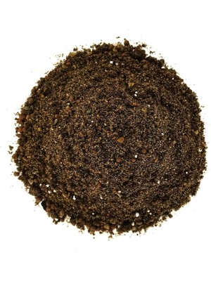 Kaktüs - Sukulent Toprağı 10 Lt