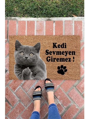 Happy Trend Kedi Sevmeyen Giremez Kapı Önü Paspası Dekoratif Kapı Paspası Dış Mekan Paspas Ev Içi Paspası 45X70CM