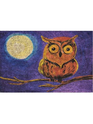 Happy Trend Tasarımlı Dekoratif Kapı Önü Paspas, Dış Mekan/ev Içi/banyo/mutfak/yatak Odası/giriş Paspasları (Gece Baykuş, 45X70)