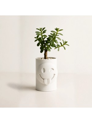 Urfakent 3D Baskı Emoji Planter - Göz Kırpan Yüzlü Sukulent Saksısı-Beyaz