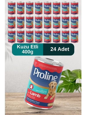Tr Köpek Konservesi, Kuzu Etli, Sos Içinde Et Parçacıklı, 400G, 24 Adet