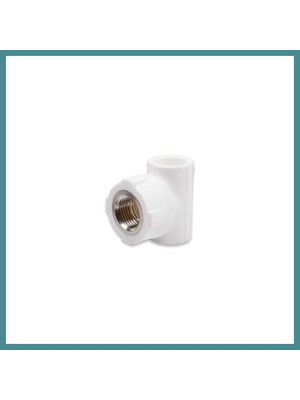 Bezos Pprc 20MM1/2 Iç Dişli T 1 Adet Mac
