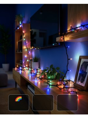 Lims Store Dekoratif Peri LED 5 M Şeffaf Kablo 50 Ampullü XUCZZZ5MLEDIŞIKRENKLİ-5-1-1