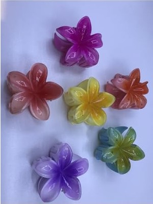 Ceylan Adam Pembe Lotus Çiçek Parlak Akrilik Kadın Mandal Toka, TYBIUDC0KIF4AHV491