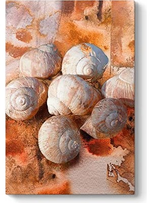 Ceylan Adam Deniz Kabuğu Soyut Tablosu 50 x 75