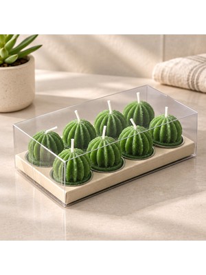 Milas Toptan Yeşil Tombul Kaktüs Mum 6'lı