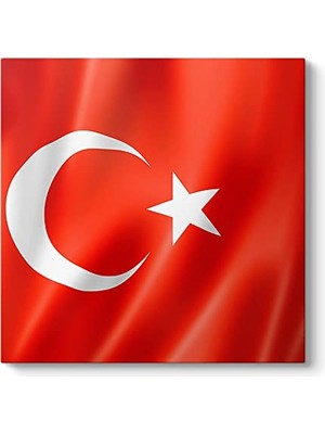 Ceylan Adam Türk Bayrağı Tablosu 100 x 100