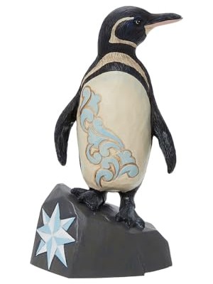 Ceylan Adam Galapagos Penguen Biblosu