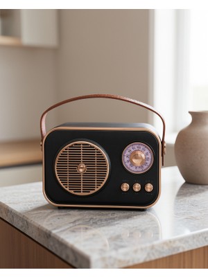 Filizora Digital Market Retro Tarz Kablosuz Radyo UCZZZM4SPEAKER-6