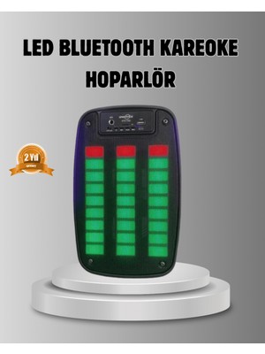 Filizora Digital Market Gts 1793 Işıklı 6.5 Inç Kablosuz Hoparlör Bluetooth, USB ve Fm Özellikli