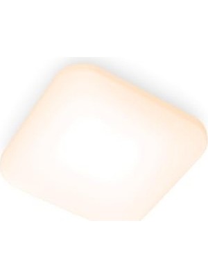 Şanal 12W Beyaz LED Tavan ve Duvar Lambası, Su ve Toz Geçirmez Özellik
