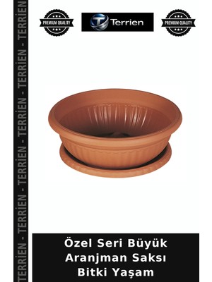 Terrien Özel Seri Büyük Aranjman Saksı Bitki Yaşam