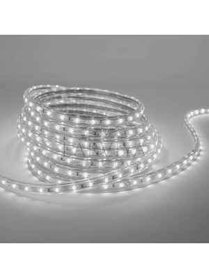 Larviya Tek Sıra Hortum Şerit LED Beyaz 100 M