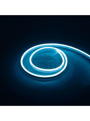 Larviya 12V Neon LED Turkuaz 50 M