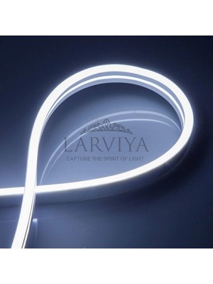 Larviya 12V Neon LED Beyaz 50 M