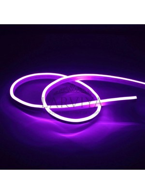Larviya 12V Neon LED Mor 50 M