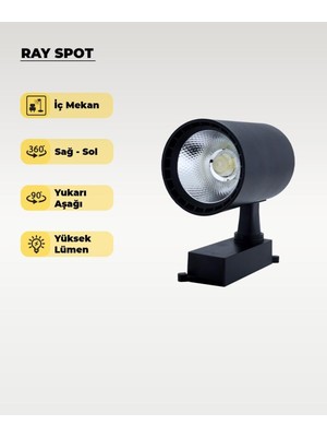 Die Grup 30W Siyah Ray Spot 4000K (Gün Işığı)