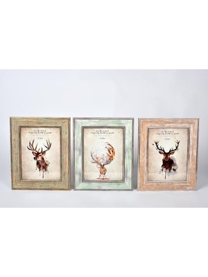 Odea Tr Seta Frame Fotoğraf Çerçevesi 3lü Mıx Pastel 15 * 20CM