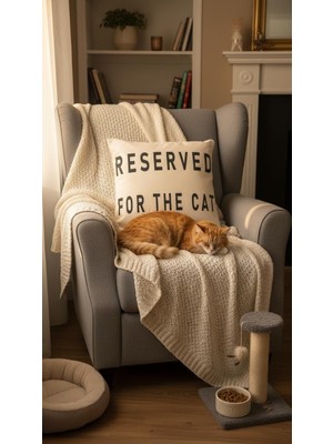 Odea Tr Reserved For Cat Kırlent Kılıfı (43X43)
