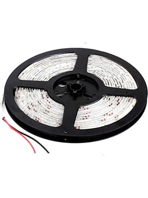 Odea Tr RDL105 12V/60 LED Dış Mekan IP65 Yeşil Şerit LED 5 Metre