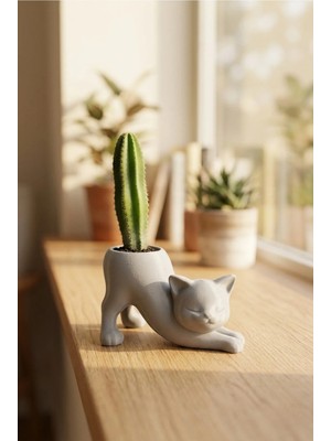 GIFT MALL Esneyen Kedi Şeklinde Dekoratif Kaktüs ve Sukulent Saksısı - Modern Tasarım Biblo Obje