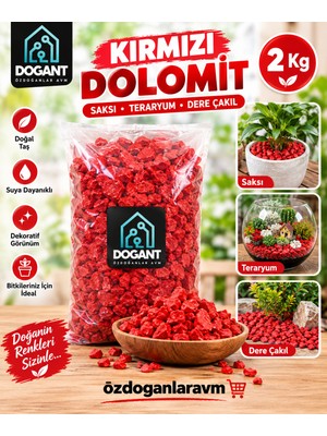 Dogant Kırmızı Dolomit Taş 2 kg  Dere Çakıl Taşı Bahçe Peyzaj Süs Taşı Saksı Teraryum Akvaryum Taşı