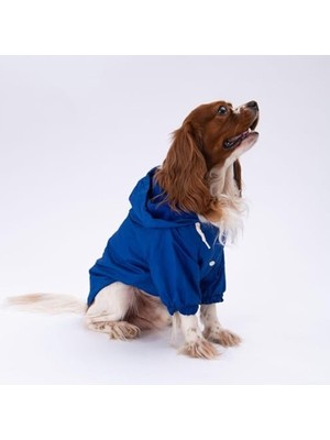 Rafta Kırmızı Mont Köpek Montu, Yağmurluk, Küçük ve Büyük Irklar Için, L