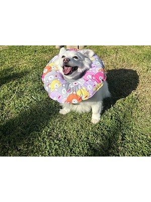 Rafta Kedi ve Köpek Boyunluk-Elizabeth Yakalık Operasyon Boyunluk-Kedi Boyun Yastığı(Ayıcıklar) (M)