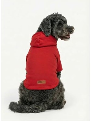 Rafta Kapüşonlu Sweatshirt Köpek ve Kedi Kıyafeti Düz, S, SWKIRMIZI01, Kırmızı