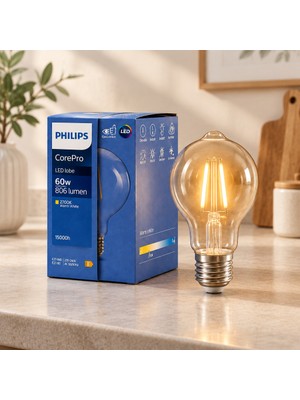 TeknoKapsül Filament Rustik G93 E27 LED Ampul 2700K