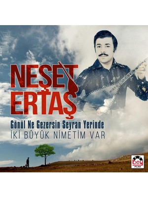 Rafta Neşet Ertaş - Gönül Ne Gezersin Seyran Yerinde/ıki Büyük Nimetim Var - Plak