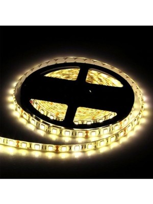 Rafta Cata Şerit LED Iç Mekan 10 Çipli Günışığı CT-4481