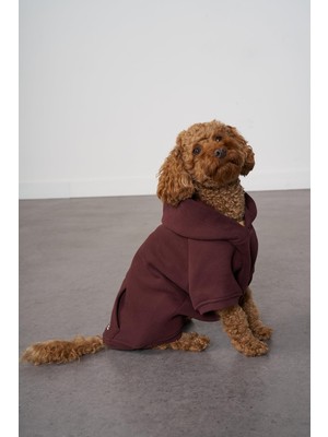 Rafta Pet Hoodie