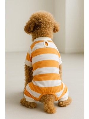 Rafta Mpz Pets Kedi ve Köpek Kıyafeti 4 Bacak Tulum Beyaz Çizgili, S, Beyaz-Jumpsuit, Turuncu