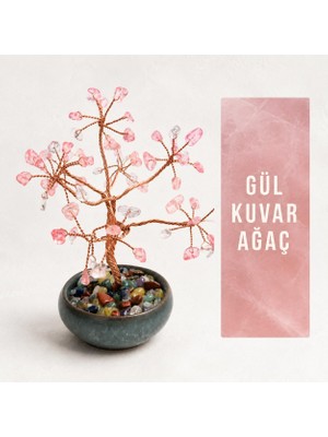 Rafta Unicuslife Gül Kuvars Doğal Taş Ağaç