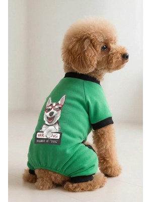 Rafta Mpz Pets Kedi ve Köpek Kıyafeti Mint 4 Bacak Tulum Chihuahua, Xs, Mint-Chihuahua-Jumpsuit, Denim