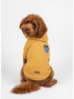 Rafta Mpz Pets Kedi ve Köpek Kıyafeti Hoodie Kurabiye Cep, Xs, Yellow-Cookiepocket-Hoodie, Sarı