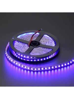 Rafta Cata 3 Çipli Şerit LED Iç Mekan, Mavi, 5 M
