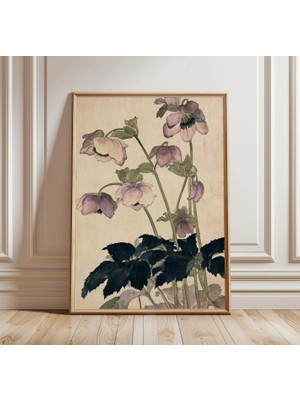 Ninastore Japon Botanik Baskı | Vintage Çiçekli Duvar Sanatı | Hellebore Illüstrasyonu