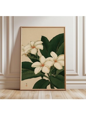 Ninastore Beyaz Frangipani Botanik Baskı | Japon Ahşap Baskı Tarzı Çiçekli Duvar Sanatı | Vintage Tropikal Çiçek Posteri
