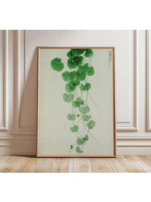 Ninastore Minimalist Botanik Asma Baskısı Japon Sanat Tarzı Yeşil Yaprak Duvar Sanatı Modern Doğa Posteri Çağdaş Zen Ev Dekorasyonu