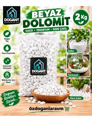 Dogant Beyaz Dolomit Taşı