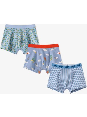 Penti Erkek Çocuk Mavi Soft Dragon Dinozor Desenli Pamuklu 3'lü Boxer
